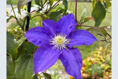 11838 Brosius Road, Garrettsville, OH 44231 - Photo 31