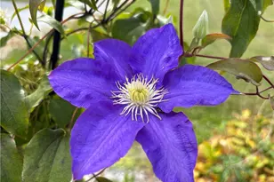 11838 Brosius Rd, Garrettsville, OH 44231 - Photo 31