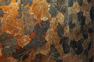 8849 Concord Dr, Westfield Center, OH 44251 - Photo 23