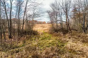 1520 Bedford Rd, Lowellville, OH 44436 - Photo 27