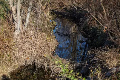 2335 E County Road 36, Tiffin, OH 44883 - Photo 19