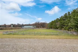 2941 Vandemark Rd, Litchfield, OH 44253 - Photo 33