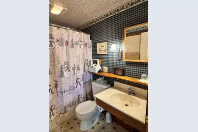 6041 Township Road 310, Millersburg, OH 44654 - Photo 37