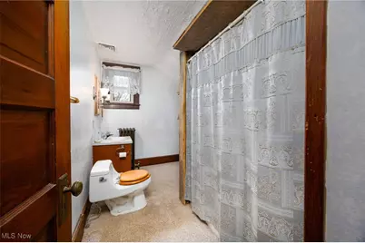 7908 Garman Road, Burbank, OH 44214 - Photo 43