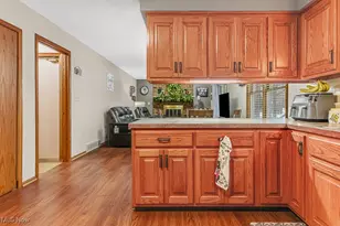 487 Hilbish Ave, Akron, OH 44312 - Photo 11