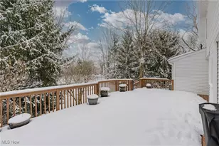 10191 Dayflower Dr, Twinsburg, OH 44087 - Photo 35