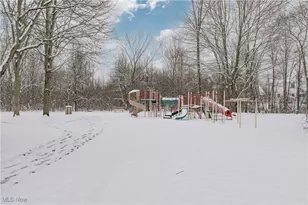 10191 Dayflower Dr, Twinsburg, OH 44087 - Photo 37