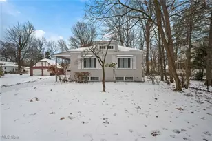 8 Shawondassee Dr, Timberlake, OH 44095 - Photo 29