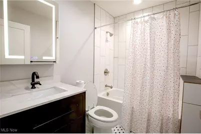 252 W College Street, Oberlin, OH 44074 - Photo 17