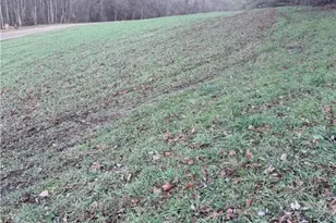 1335 Township Rd 129, Adena, OH 43901 - Photo 45