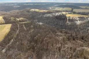 1335 Township Rd 129, Adena, OH 43901 - Photo 39