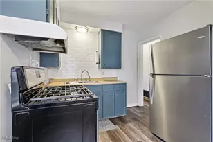 244 E Catawba Ave, Akron, OH 44301 - Photo 9