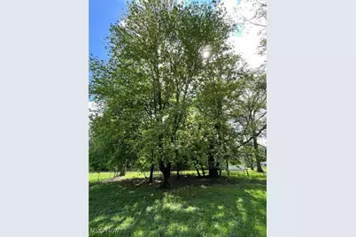 805 Utica Avenue, Akron, OH 44312 - Photo 5