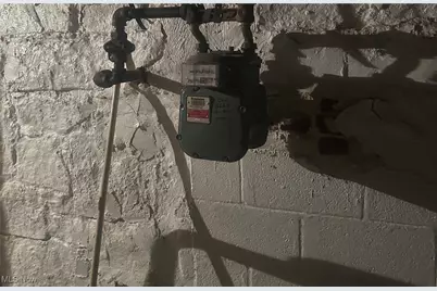 12009 Wade Park Avenue, Loveland, OH 44106 - Photo 11