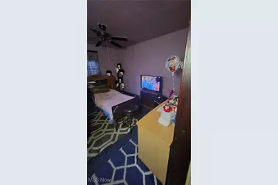 10704 Woodland Avenue, Loveland, OH 44104 - Photo 11