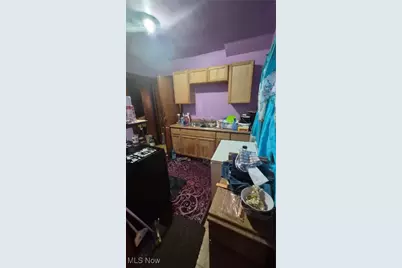 10704 Woodland Avenue, Loveland, OH 44104 - Photo 9