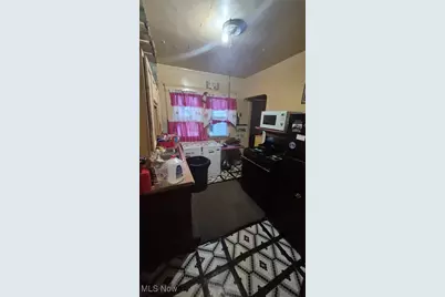 10704 Woodland Avenue, Loveland, OH 44104 - Photo 3