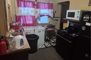 10704 Woodland Ave, Loveland, OH 44104 - Photo 3