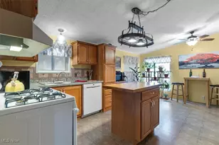 131 Birchbark Dr, Elyria, OH 44035 - Photo 9