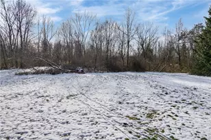 1324 Trares Rd, Mogadore, OH 44260 - Photo 41