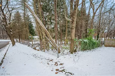 Burbank Avenue, Akron, OH 44305 - Photo 31