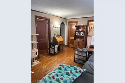 3901 Germaine Avenue, Loveland, OH 44109 - Photo 3