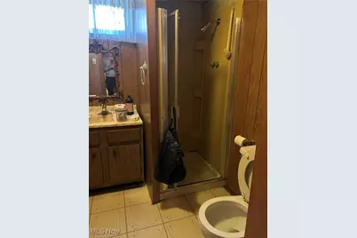 22506 Sharon Lane, Loveland, OH 44126 - Photo 21