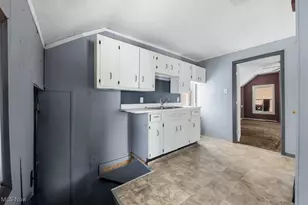 234 Rosenberry St, Alliance, OH 44601 - Photo 17