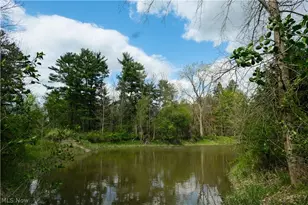 8963 Abbey Rd, North Royalton, OH 44133 - Photo 47