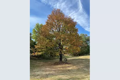 101 Denese, Weirton, WV 26062 - Photo 13