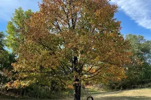 101 Denese, Weirton, WV 26062 - Photo 13