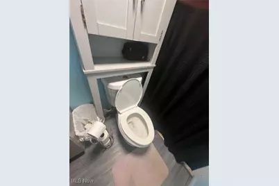 10352 W Pine Lake Road, Salem, OH 44460 - Photo 5