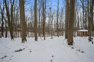 3600 Hunting Run Rd, Medina, OH 44256 - Photo 39