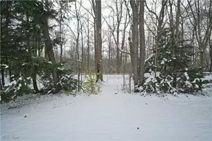 85 Lakeshore Dr, Boardman, OH 44511 - Photo 49