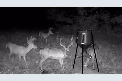 10185 State Rt 376, McConnelsville, OH 43756 - Photo 41