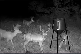 10185 State Rt 376, McConnelsville, OH 43756 - Photo 41