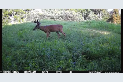 10185 State Rt 376, McConnelsville, OH 43756 - Photo 35