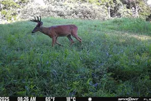 10185 State Rt 376, McConnelsville, OH 43756 - Photo 35