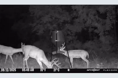 10185 State Rt 376, McConnelsville, OH 43756 - Photo 37