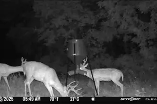 10185 State Rt 376, McConnelsville, OH 43756 - Photo 37