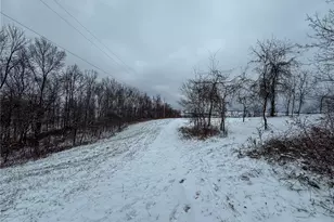 10185 State Rt 376, McConnelsville, OH 43756 - Photo 23