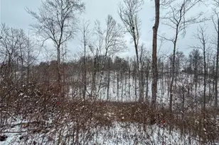 10185 State Rt 376, McConnelsville, OH 43756 - Photo 21