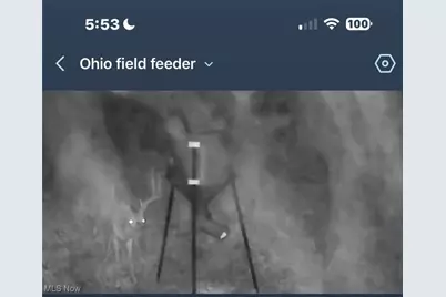 10185 State Rt 376, McConnelsville, OH 43756 - Photo 39