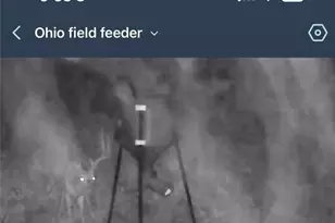 10185 State Rt 376, McConnelsville, OH 43756 - Photo 39