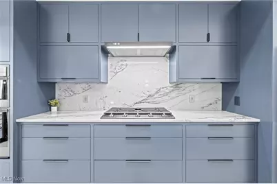 3109 Vine Court, Loveland, OH 44113 - Photo 19