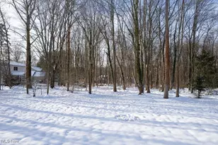 8305 Pebble Creek Ct, Chagrin Falls, OH 44023 - Photo 49