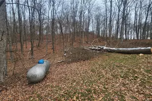 69800 Skull Fork Rd, Freeport, OH 43973 - Photo 17