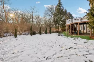 100 Blackberry Dr, Hudson, OH 44236 - Photo 45