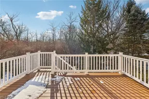 100 Blackberry Dr, Hudson, OH 44236 - Photo 43