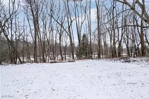 1482 Whittier St NE, Canton, OH 44721 - Photo 35